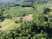 Terreno / Lote para Venda em Blumenau/SC Vila Itoupava