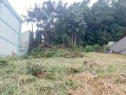 Terreno / Lote para Venda em Blumenau/SC Vila Nova