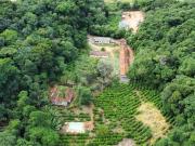 Terreno / Lote para Venda em Bom Jesus dos Perdões/SP...