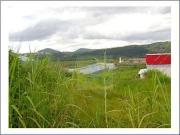 Terreno / Lote para Venda em Bom Jesus dos Perdões/SP...