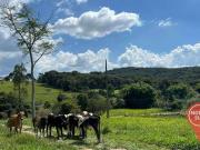 Terreno / Lote para Venda em Bonfim/MG Guedes