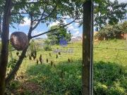 Terreno / Lote para Venda em Botucatu/SP Jardim Tropical
