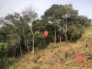 Terreno / Lote para Venda em Brumadinho/MG Carmo