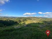 Terreno / Lote para Venda em Brumadinho/MG Condomínio...