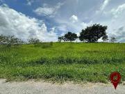 Terreno / Lote para Venda em Brumadinho/MG Ficus