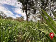 Terreno / Lote para Venda em Brumadinho/MG Retiro do Brumado