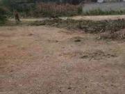 Terreno / Lote para Venda em Cabo Frio/RJ Jardim Peró