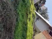 Terreno / Lote para Venda em Caieiras/SP Serpa