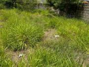 Terreno / Lote para Venda em Cajamar/SP Portais Polvilho