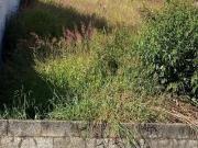 Terreno / Lote para Venda em Cajamar/SP Portais Polvilho