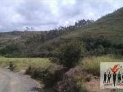 Terreno / Lote para Venda em Caldas/MG Centro