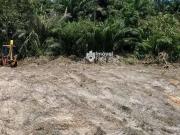 Terreno / Lote para Venda em Camaçari/BA Monte Gordo