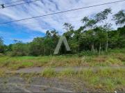 Terreno / Lote para Venda em Camboriú/SC Cedro