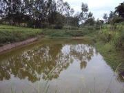 Terreno / Lote para Venda em Campinas/SP Piracambaia I