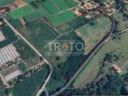 Terreno / Lote para Venda em Campinas/SP Chácara São Rafael