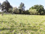 Terreno / Lote para Venda em Campinas/SP Cidade Satélite...