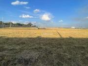 Terreno / Lote para Venda em Campinas/SP Fazenda Pau...