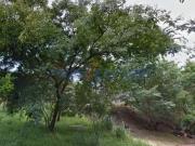 Terreno / Lote para Venda em Campinas/SP Jardim Atibaia...