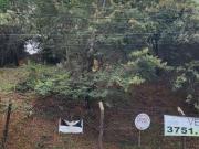 Terreno / Lote para Venda em Campinas/SP Jardim Botânico...