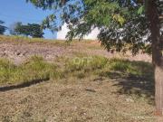Terreno / Lote para Venda em Campinas/SP Jardim Ibirapuera