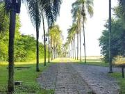 Terreno / Lote para Venda em Campinas/SP Jardim...