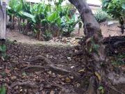 Terreno / Lote para Venda em Campinas/SP Jardim...