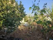 Terreno / Lote para Venda em Campinas/SP Jardim Santana