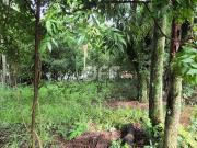 Terreno / Lote para Venda em Campinas/SP Joaquim Egídio
