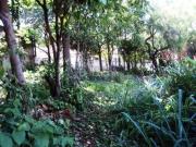 Terreno / Lote para Venda em Campinas/SP Parque das...