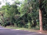 Terreno / Lote para Venda em Campinas/SP Parque São Quirino