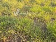 Terreno / Lote para Venda em Campinas/SP Residencial...