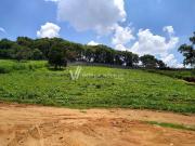 Terreno / Lote para Venda em Campinas/SP Vila Saltinho
