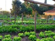 Terreno / Lote para Venda em Campinas/SP Village Campinas