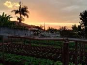 Terreno / Lote para Venda em Campinas/SP Village Campinas