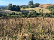 Terreno / Lote para Venda em Campo Alegre/SC Avenquinha