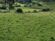 Terreno / Lote para Venda em Campo Alegre/SC Centro