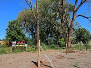 Terreno / Lote para Venda em Campo Grande/MS Centro