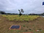 Terreno / Lote para Venda em Campo Grande/MS Chácara dos...
