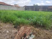 Terreno / Lote para Venda em Campo Grande/MS Jardim...