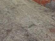 Terreno / Lote para Venda em Campo Grande/MS Jardim Imá