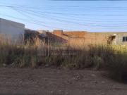 Terreno / Lote para Venda em Campo Grande/MS Vila Nasser