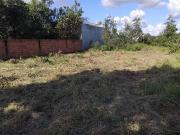 Terreno / Lote para Venda em Campo Grande/MS Vila Nasser