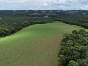 Terreno / Lote para Venda em Campo Largo/PR Barreiro