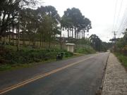 Terreno / Lote para Venda em Campo Largo/PR Ferraria