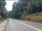 Terreno / Lote para Venda em Campo Largo/PR Jardim Busmayer