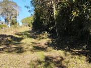 Terreno / Lote para Venda em Campo Largo/PR Jardim São...