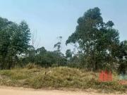 Terreno / Lote para Venda em Campo Limpo Paulista/SP Pau...