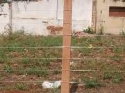 Terreno / Lote para Venda em Canoas/RS Igara