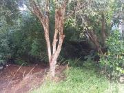 Terreno / Lote para Venda em Canoas/RS Nossa Senhora das...