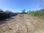 Terreno / Lote para Venda em Caraguatatuba/SP Balneário...